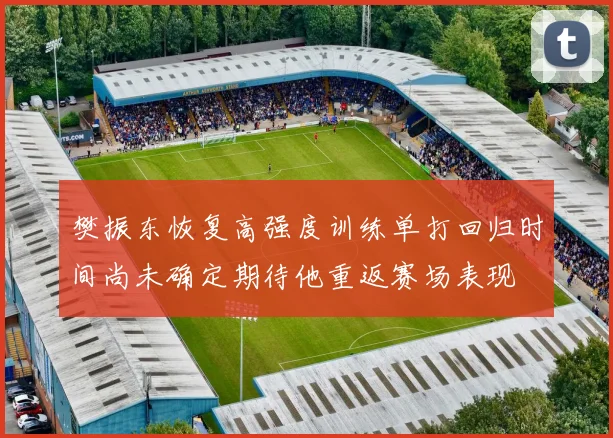 樊振东恢复高强度训练单打回归时间尚未确定期待他重返赛场表现