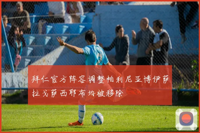拜仁官方阵容调整帕利尼亚博伊萨拉戈萨西耶布均被移除